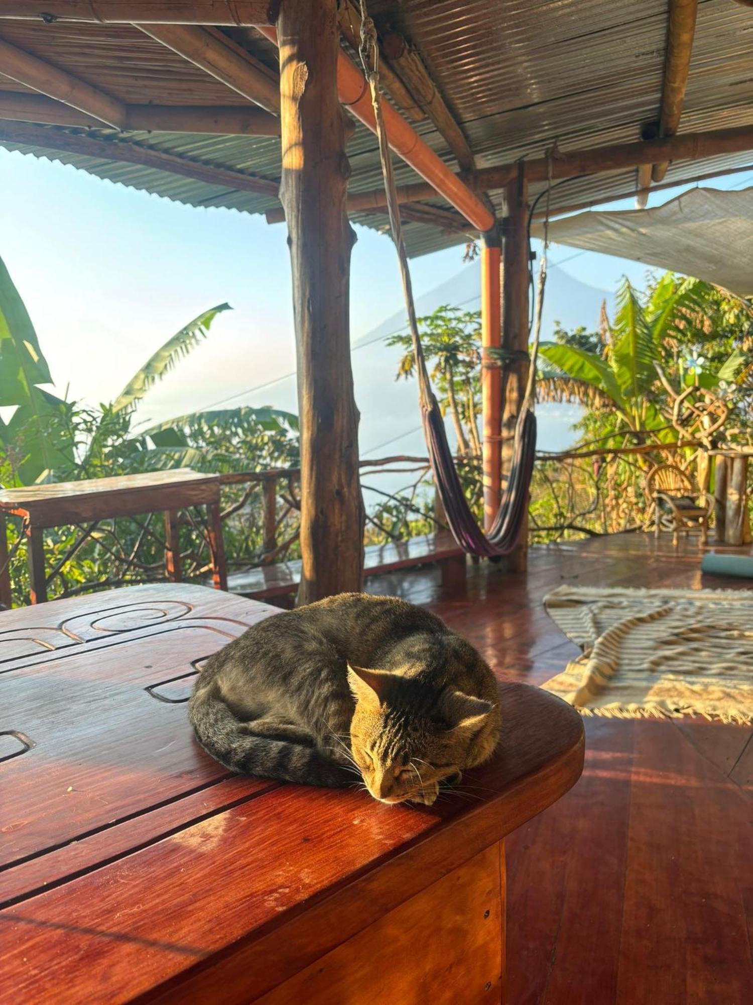 Maison d'hôtes Earthship Atitlan à San Marcos La Laguna Extérieur photo